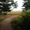 Looking out towards the open prairie on the South Trail