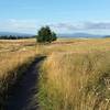 Wonderful afternoon on the top of the butte, on the Forest Edge Trail