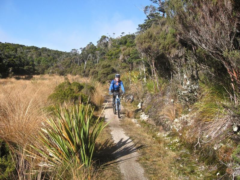 Riding through tussock clearings between Saxon and Mackay Huts