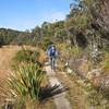 Riding through tussock clearings between Saxon and Mackay Huts