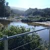 View up the Lewis River from the Heaphy River susupension bridge