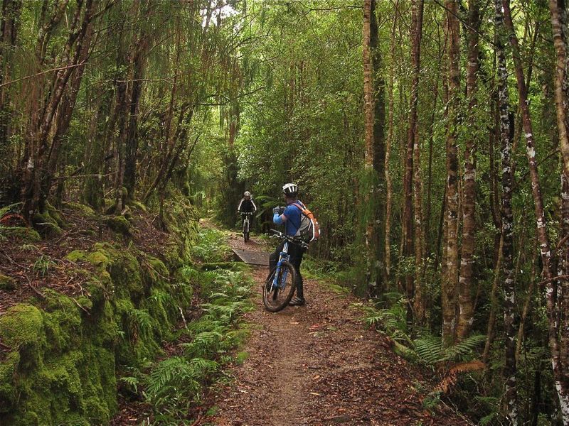 Riding down from Mackay Hut to Lewis Hut