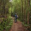 Riding down from Mackay Hut to Lewis Hut