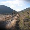 Descending from Perry Saddle to Gouland Downs