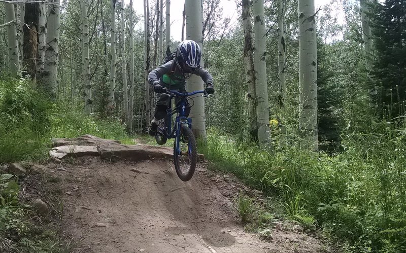 Local 7 year old learning downhill.