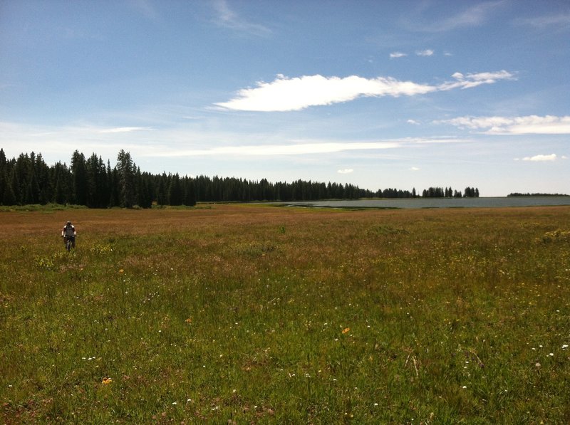 Riding post to post until the singletrack presents itself