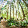 One last big berm on Springboard Trail.