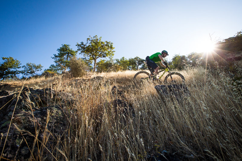 Arm Bar is a challenging trail with exposed, rocky slopes.