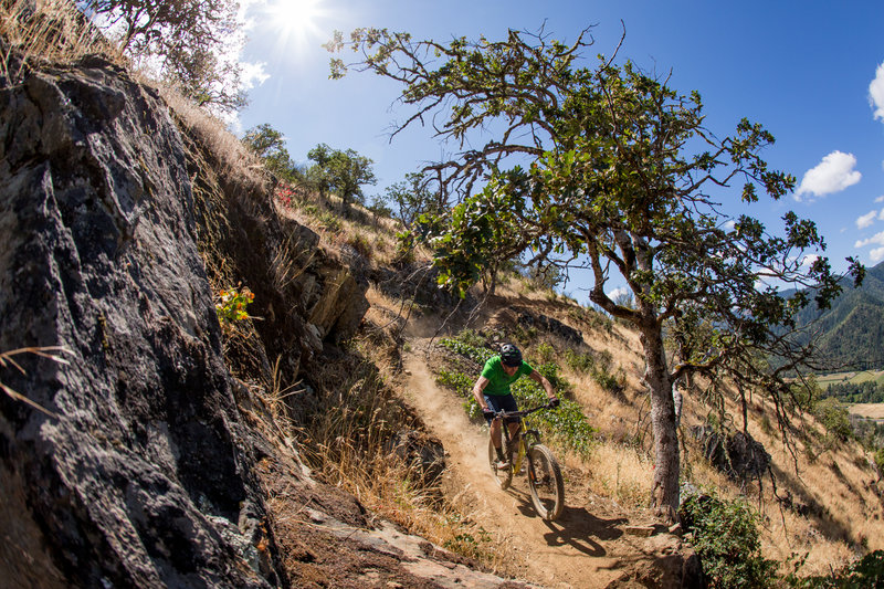 The upper portion of Breakdown trail gets into some rocky slopes and twisted oaks.