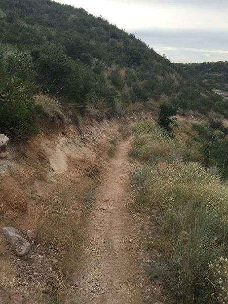 One of the first descents if riding the trail clockwise.