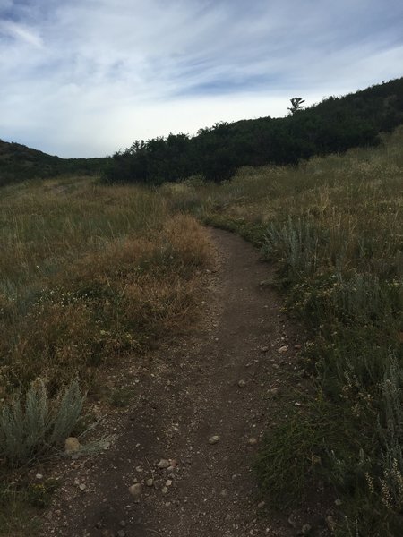 Start of the longest climb, if riding the trail clockwise.  Nothing technical in this section.