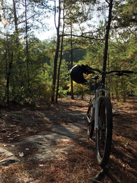 Peak of a rock climb near the fence