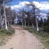 Heading up the last incline from the parking lot before the long descent back to Eldora