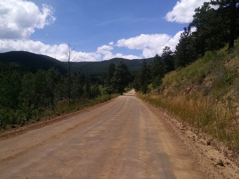 Starting the climb up Caribou Road