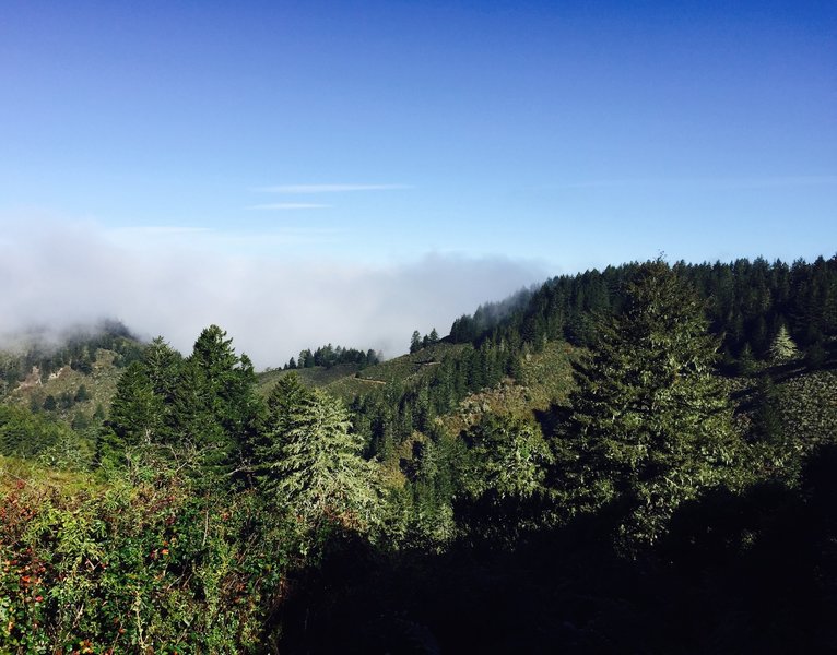 Near the top of Harkins Ridge climb looking across to Whittemore Gulch