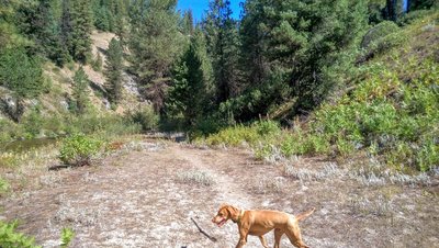 Riding along the Middle Fork