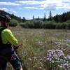 Quick stop to enjoy the view of the mountains and flowers