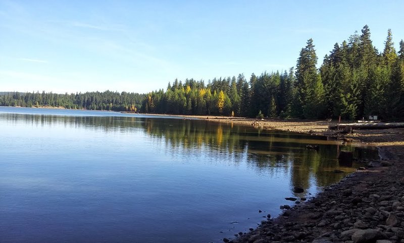 Southshore Trail #529 in the Gone Creek Campground.