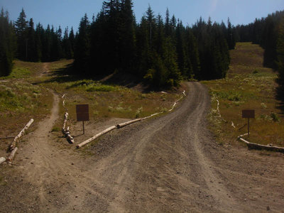 The west end of the Optimator Trail.  Photo by Jim Jonke
