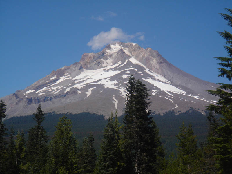 Along the Cascade Crossing Trail.  Photo by Jim Jonke