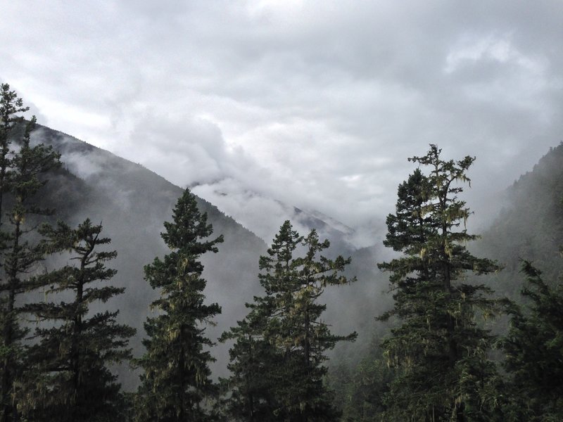 Looking up the Dungeness River Valley