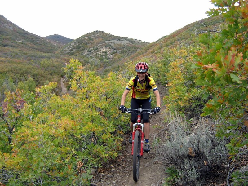 Up the ridge parallel with the old road