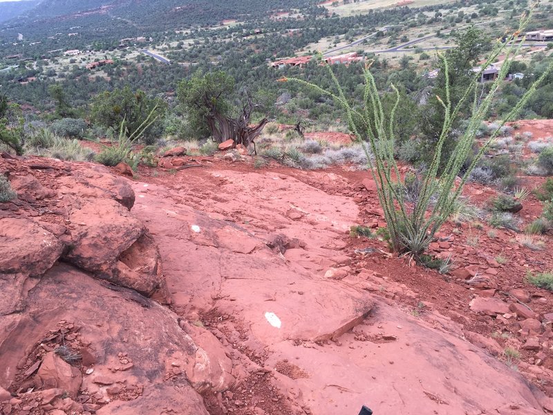 Tough steep slick rock descent on the back side of Cathedral rock.