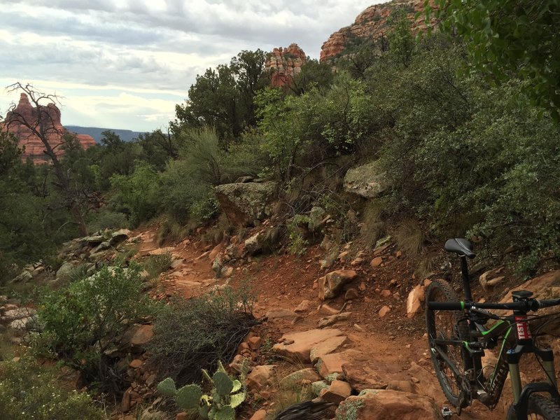 Typical narrow technical singletrack along Hi-Line.