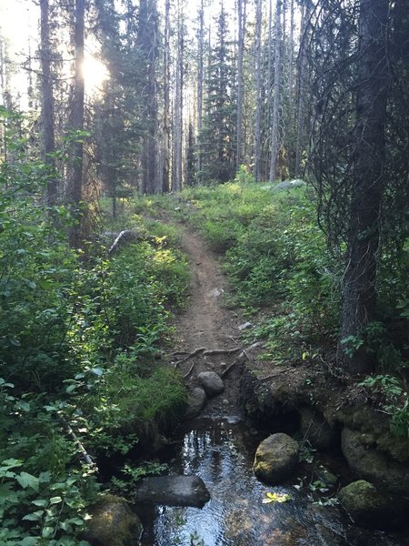 Gold Fork Trail creek crossing