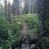 Gold Fork Trail creek crossing