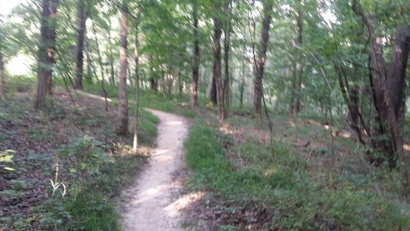 Singletrack trail.