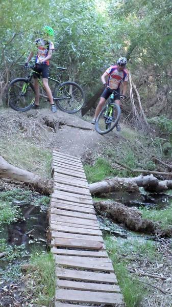 Narrow bridge crossing swampy bog at the end of Mateo's Trail