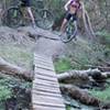 Narrow bridge crossing swampy bog at the end of Mateo's Trail