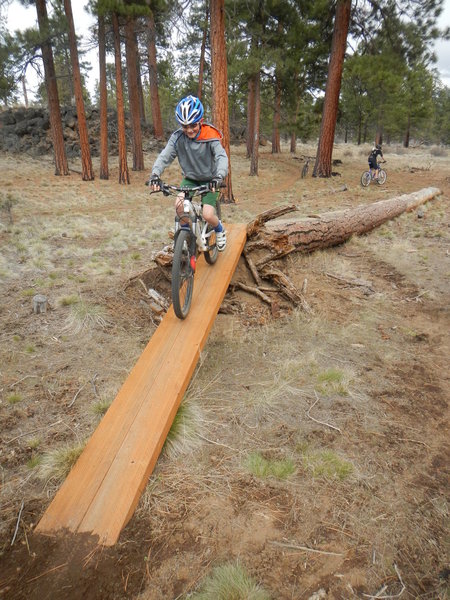 Log ride