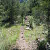 Typical section of the trail below the mine.