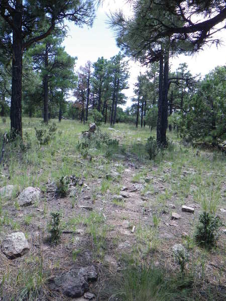 Typical trail condition (faint) and scenery on the mesa loop.