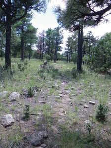 Typical trail condition (faint) and scenery on the mesa loop.