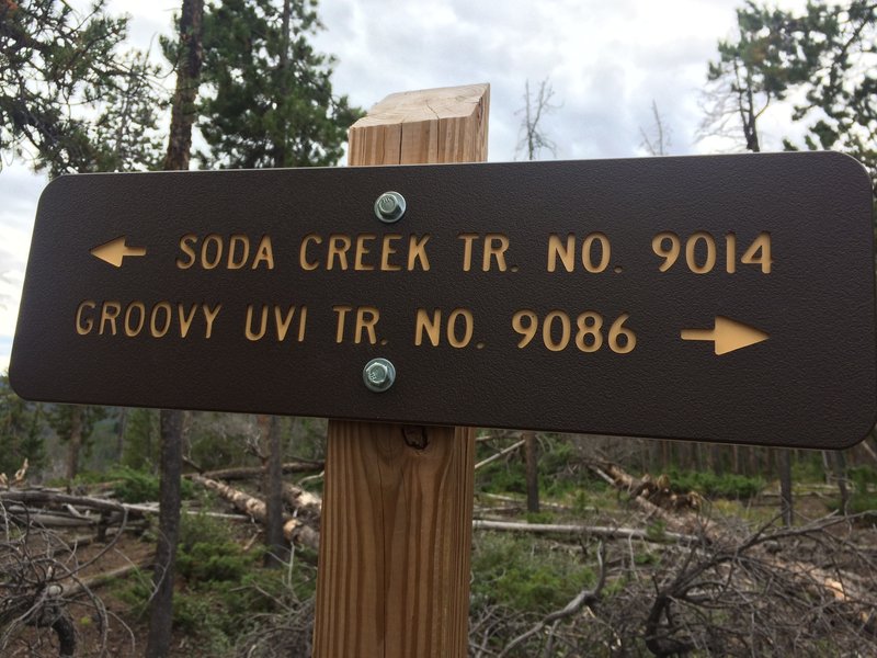 Soda Creek and Goovy Uvi intersection