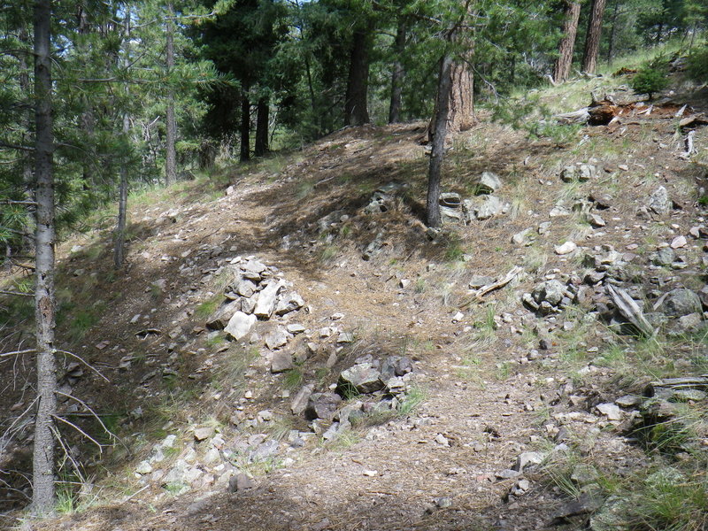 Typical upper section of Trail 25.