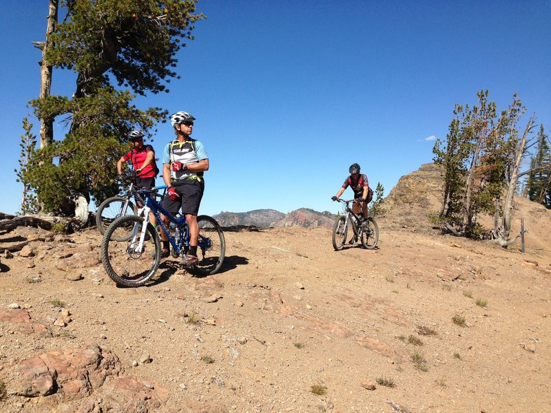 On the ridge below Custer Lookout.