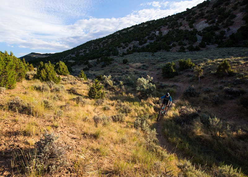 The bottom end of Johnny Draw trail near the main trailhead and parking area.