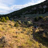 The bottom end of Johnny Draw trail near the main trailhead and parking area.