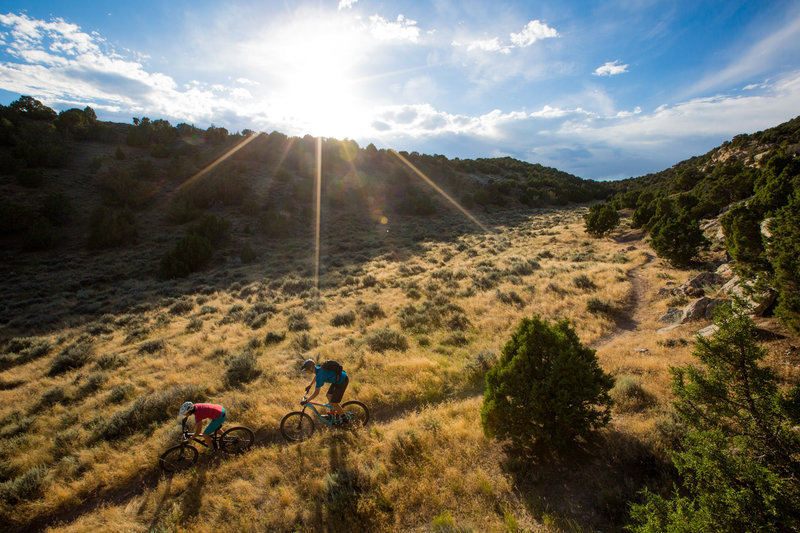 Golden light on the Johnny Draw trail.