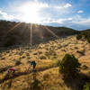 Golden light on the Johnny Draw trail.