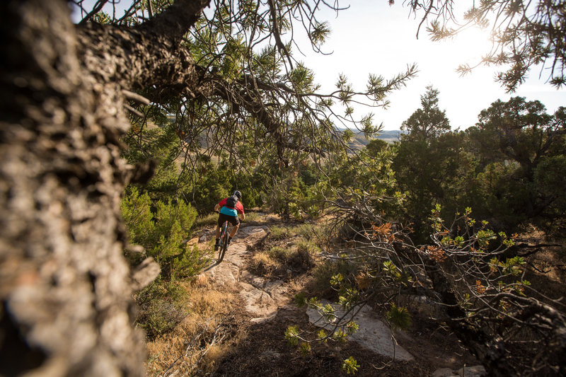 The last part of Johnny On Top has some tight trees and long slickrock sections.