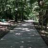 This is where the Corby North Trail starts.  No signs or markers. The trailhead is behind this green bench.