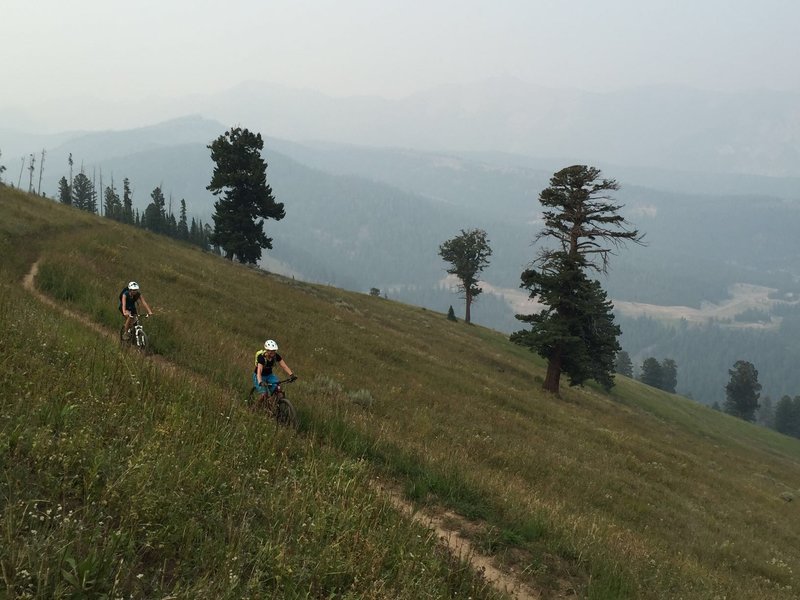 Gentle climb across Elk Park Meadow nearing the top of Upper South Fork trail