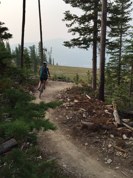 Flowing corners through the woods with views of the Spanish peaks