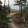 Flowing corners through the woods with views of the Spanish peaks