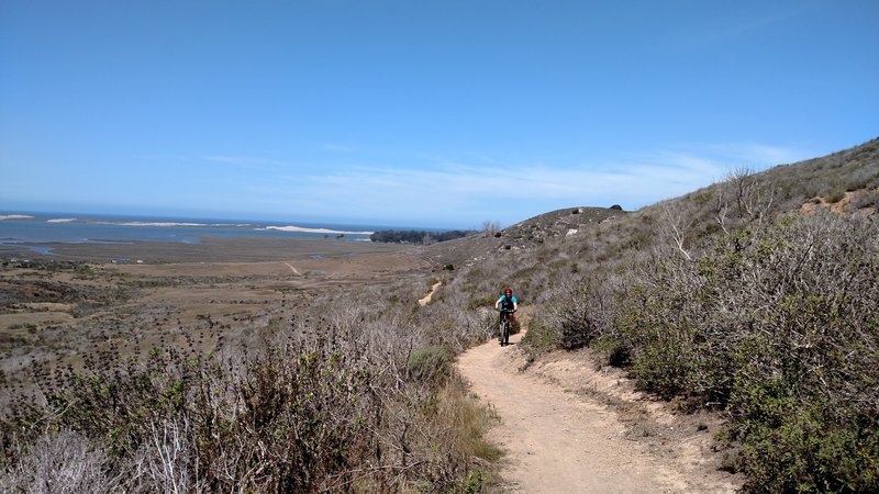 Top of the climb, nice view of Morro Bay and the Sandpit.